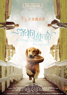 国产精品三级a三级三级午夜