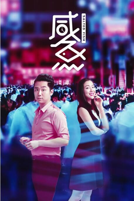 silk是什么面料